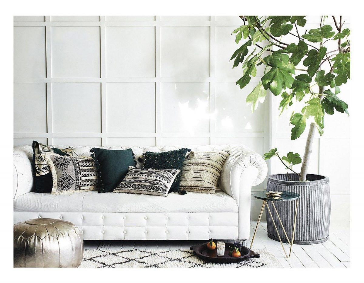 Green Home Decor Inspiration| Today we're talking inspiration for a green living room. Green is a really versatile colour to decorate your home with. But, which colours and tones work well? What kind of accessories work with green? This post gives you ideas for pulling together an elegant green colour palette and pieces for your home. Read more: kittyandb.com #greenlivingroom #greencolorpalette #interiordecoratinginspiration #greenaesthetic #greenandwhite