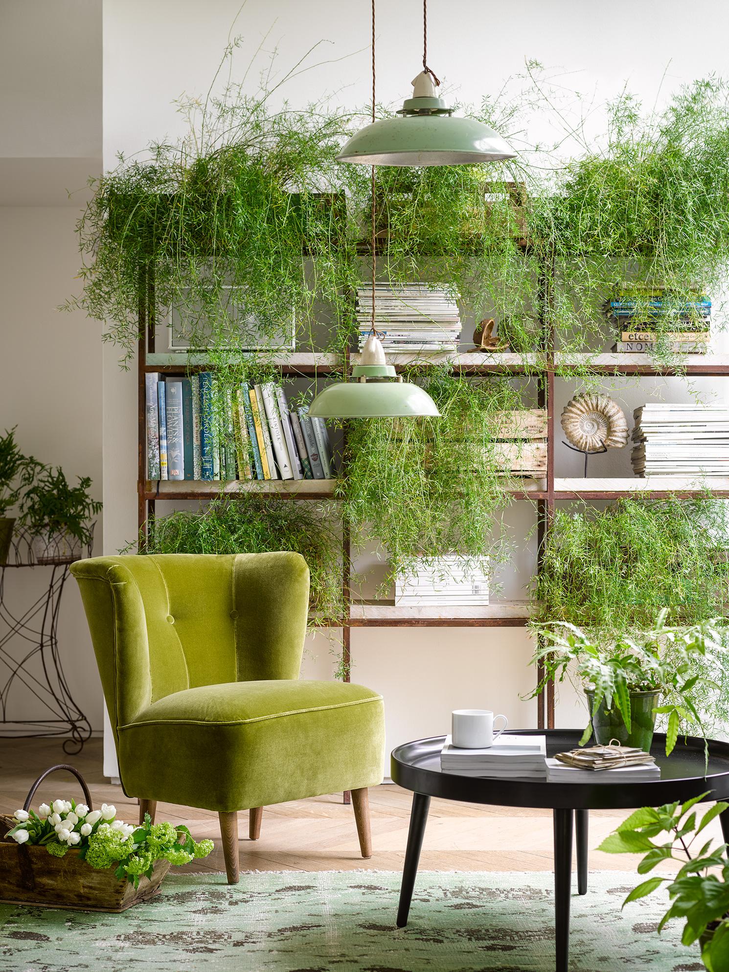 Natural Green Living Room Inspiration| Today we're talking inspiration for a green living room. Green is a really versatile colour to decorate your home with. But, which colours and tones work well? What kind of accessories work with green? This post gives you ideas for pulling together an elegant green colour palette and pieces for your home. Read more: kittyandb.com #greenlivingroom #greencolorpalette #interiordecoratinginspiration #greenaesthetic #plants